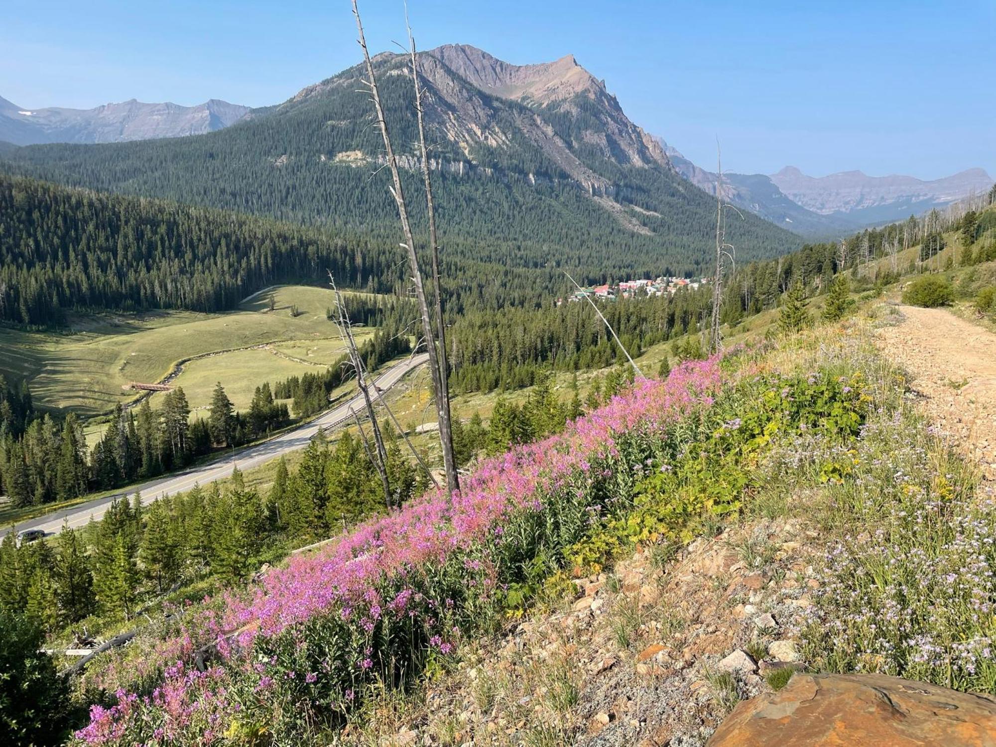 Antlers Lodge Кук-Сити Экстерьер фото