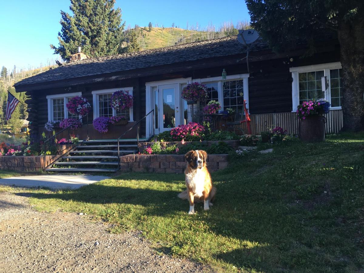 Antlers Lodge Кук-Сити Экстерьер фото
