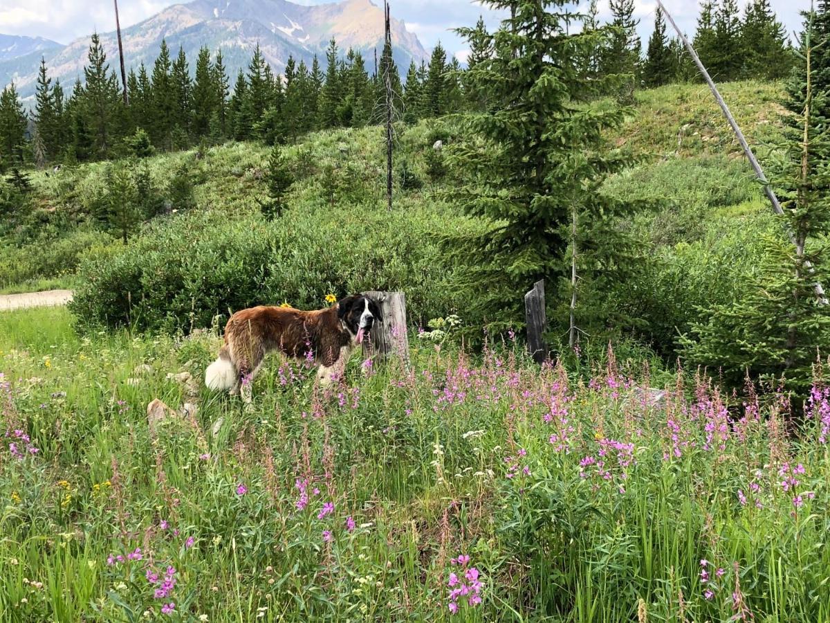 Antlers Lodge Кук-Сити Экстерьер фото